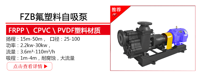 FSB氟塑料自吸泵基本参数使用说明及型号