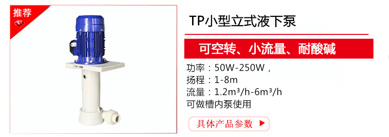 TP小型立式液下加药泵选型参数